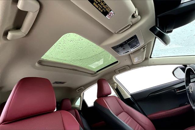 2020 Lexus NX 300h Vehicle Photo in Grapevine, TX 76051