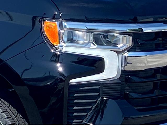2025 Chevrolet Silverado 1500 Vehicle Photo in SAVANNAH, GA 31406-4513