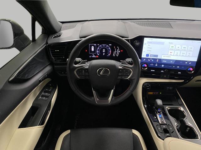 2024 Lexus NX 250 Vehicle Photo in Appleton, WI 54913