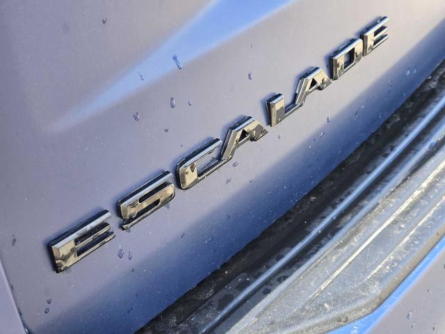 2023 Cadillac Escalade Vehicle Photo in DENTON, TX 76210-9321
