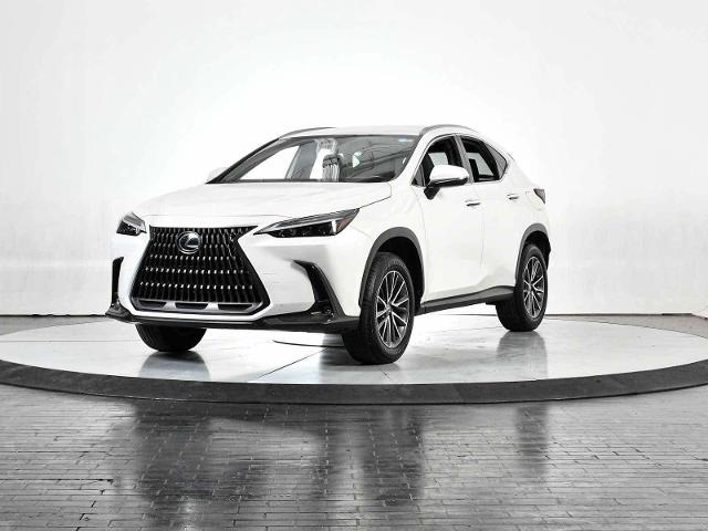 2024 Lexus NX 250 Vehicle Photo in DALLAS, TX 75235