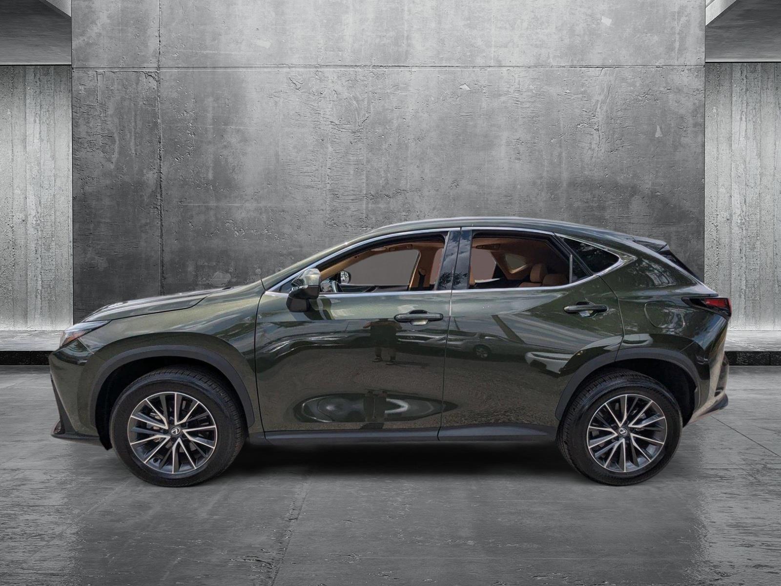 2025 Lexus NX 250 Vehicle Photo in Tampa, FL 33614