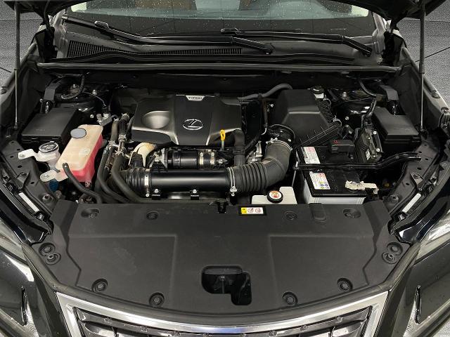 2020 Lexus NX 300 Vehicle Photo in Appleton, WI 54913