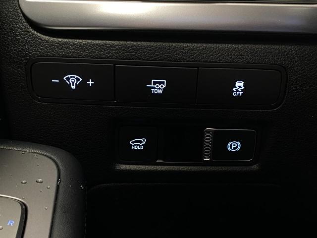 2025 Hyundai PALISADE Vehicle Photo in Appleton, WI 54913