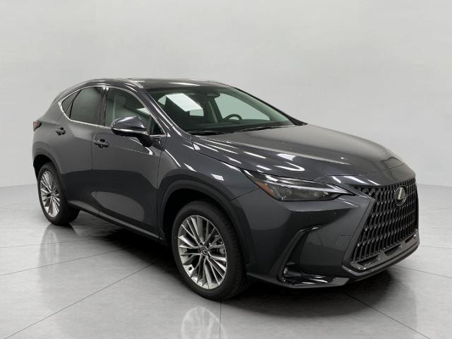 2025 Lexus NX 350 Vehicle Photo in Appleton, WI 54913