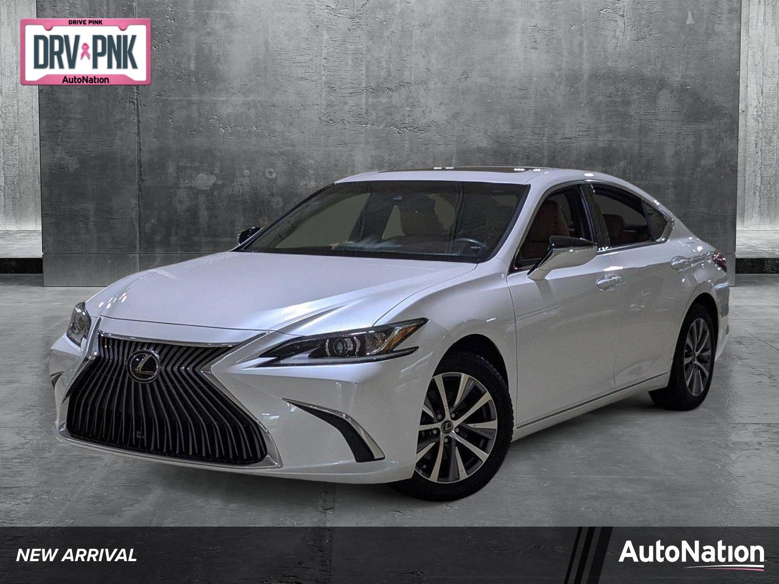 2021 Lexus ES 250 Vehicle Photo in West Palm Beach, FL 33417