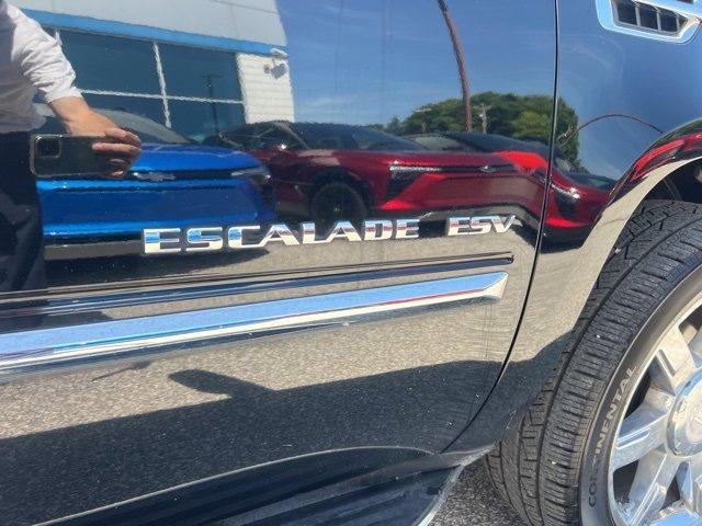 2010 Cadillac Escalade ESV Vehicle Photo in MILFORD, OH 45150-1684