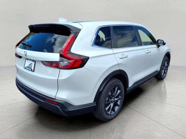 2026 Honda CR-V Vehicle Photo in Oshkosh, WI 54904