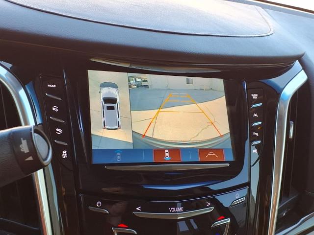 2019 Cadillac Escalade Vehicle Photo in Tampa, FL 33612
