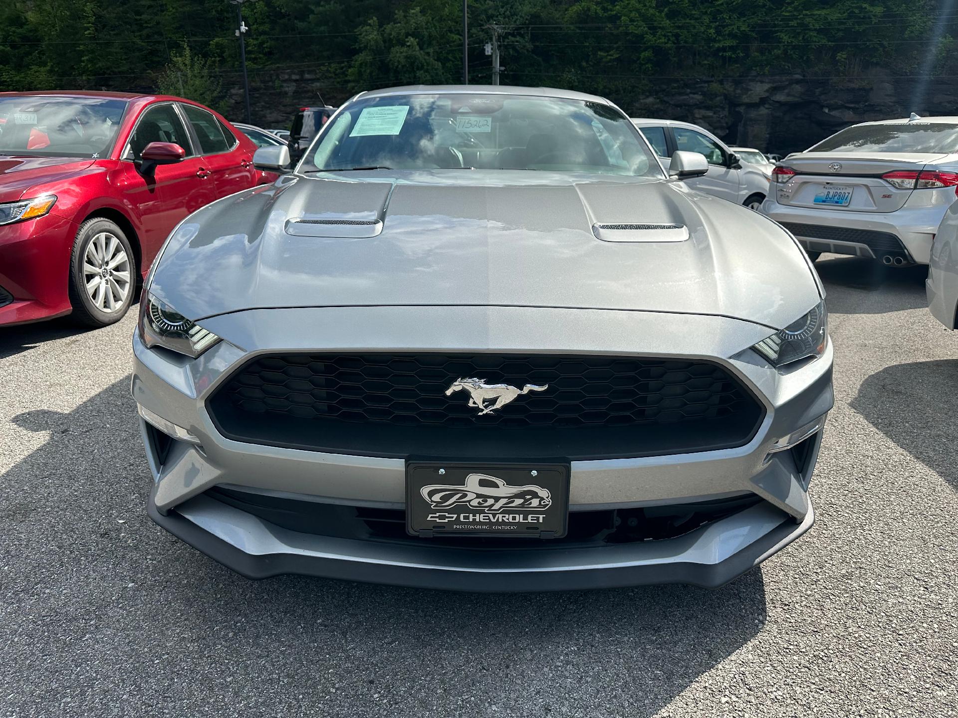 Used 2021 Ford Mustang EcoBoost with VIN 1FA6P8TH5M5115262 for sale in Prestonsburg, KY