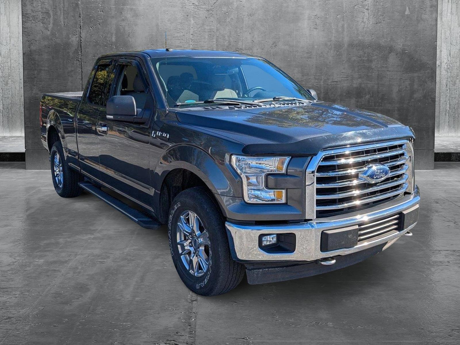 2017 Ford F-150 Vehicle Photo in Panama City, FL 32401