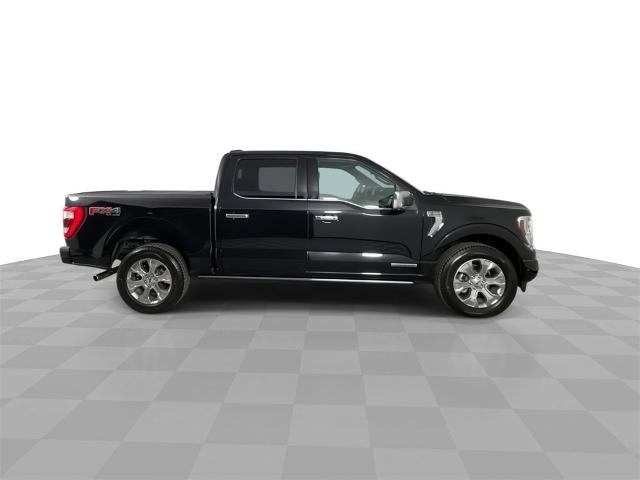 2022 Ford F-150 Vehicle Photo in GILBERT, AZ 85297-0402