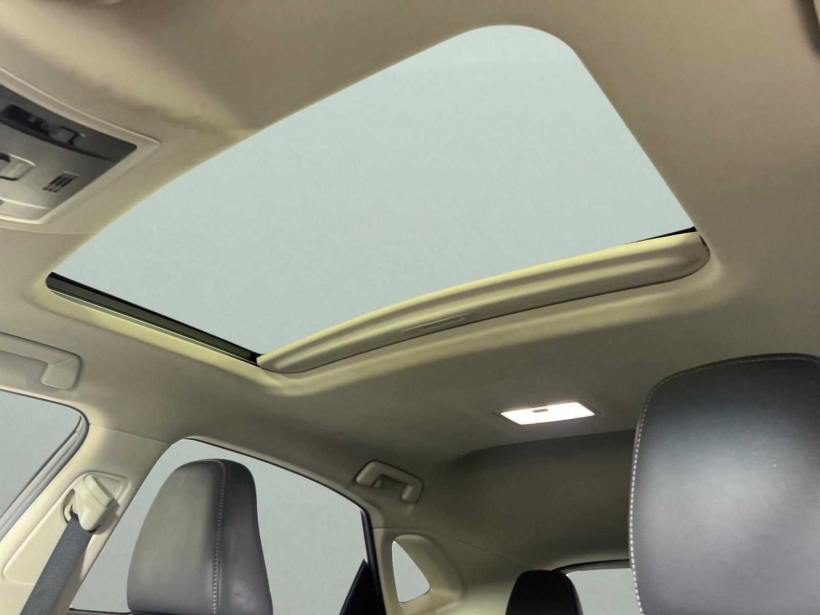 2019 Lexus NX 300 Vehicle Photo in Georgetown, TX 78626