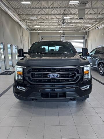 2023 Ford F-150 Vehicle Photo in Peoria, IL 61615