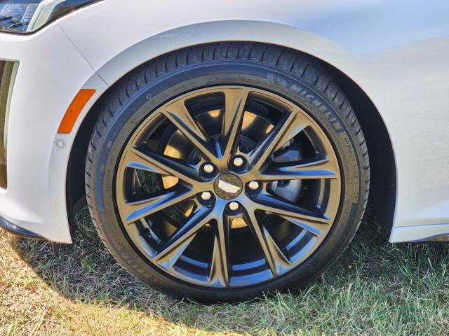 2022 Cadillac CT5 Vehicle Photo in DENTON, TX 76210-9321