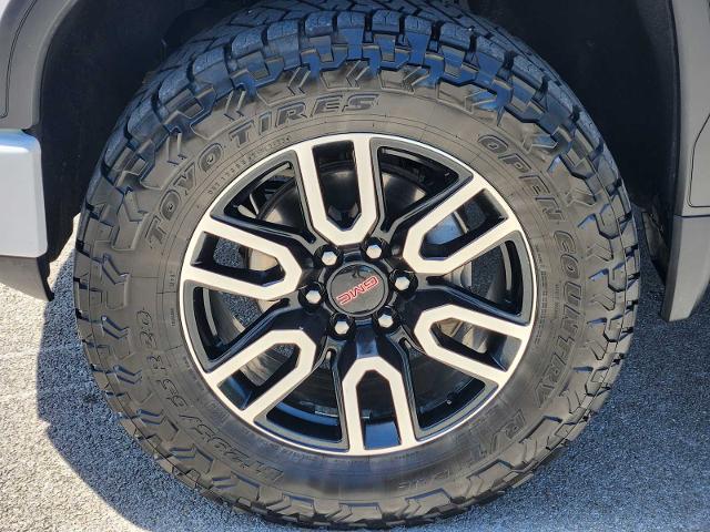 2021 GMC Sierra 1500 Vehicle Photo in DENTON, TX 76210-9321