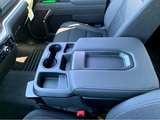 2025 GMC Sierra 1500 Vehicle Photo in BEAUFORT, SC 29906-4218