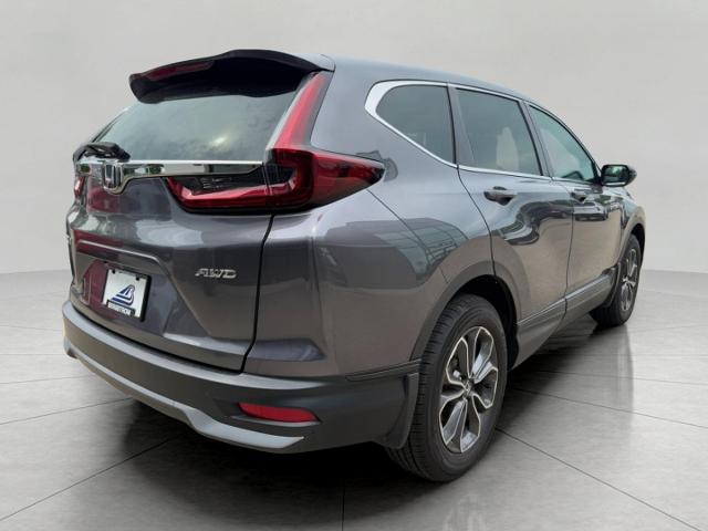 2022 Honda CR-V Vehicle Photo in Appleton, WI 54914