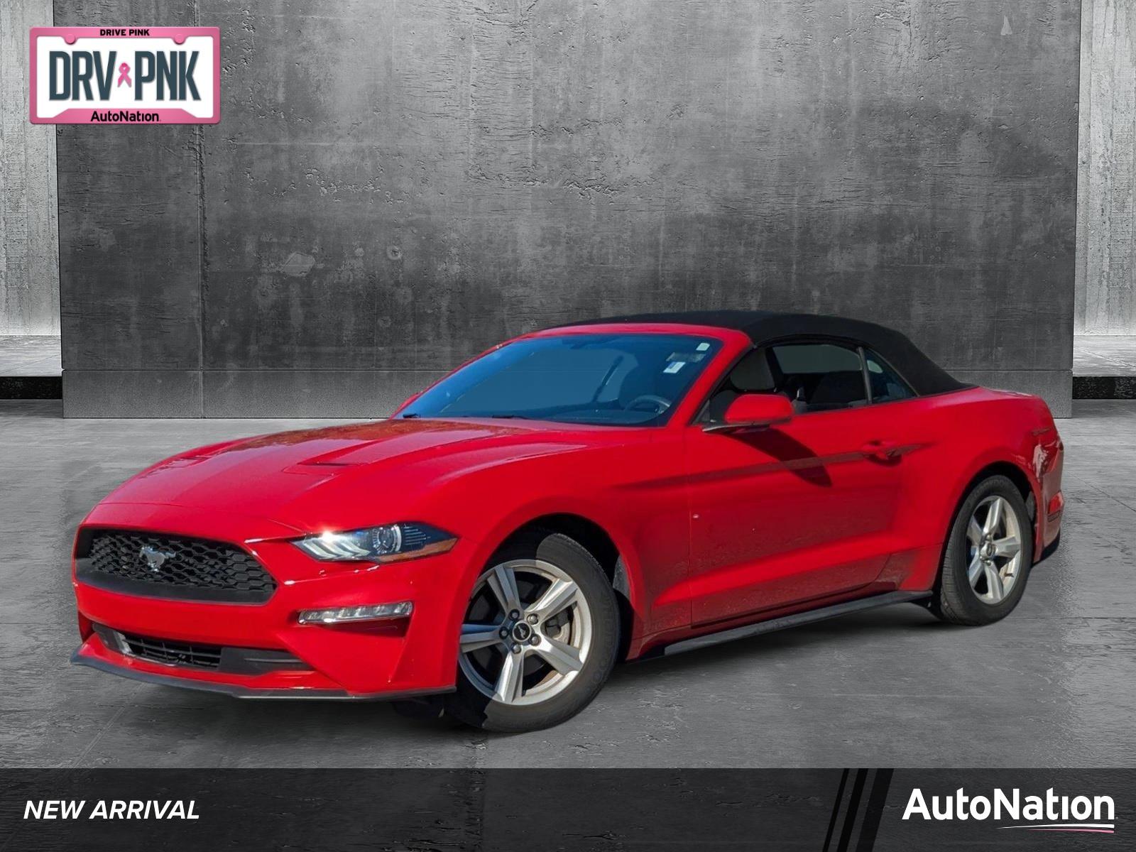 2019 Ford Mustang Vehicle Photo in St. Petersburg, FL 33713