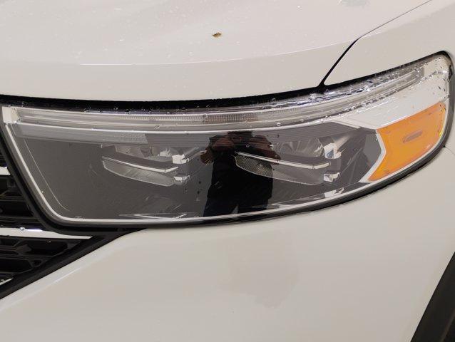 2021 Ford Explorer Vehicle Photo in PINEVILLE, NC 28134-8495