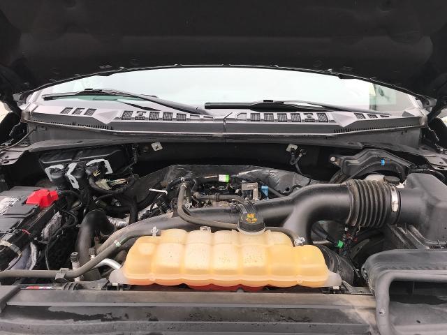 2019 Ford F-150 Vehicle Photo in GREEN BAY, WI 54303-3330