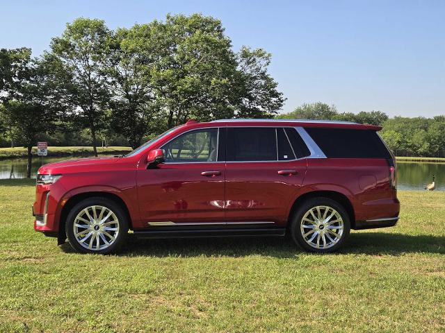 2021 Cadillac Escalade Vehicle Photo in DENTON, TX 76210-9321