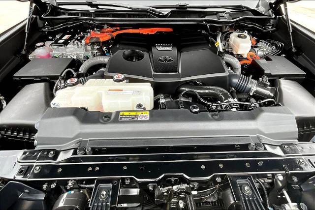 2023 Toyota Sequoia Vehicle Photo in San Antonio, TX 78230