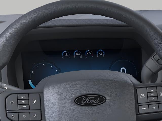2025 Ford F-150 Vehicle Photo in Neenah, WI 54956