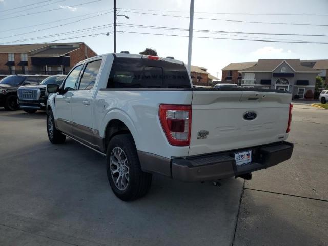 2023 Ford F-150 Vehicle Photo in LAFAYETTE, LA 70503-4541