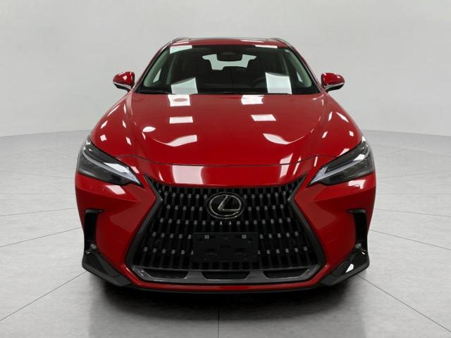 2024 Lexus NX 350 Vehicle Photo in Appleton, WI 54913