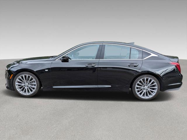 2021 Cadillac CT5 Vehicle Photo in BEAUFORT, SC 29906-4218