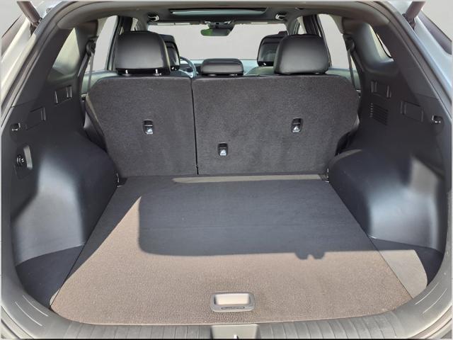 2023 Kia Sportage Vehicle Photo in Oshkosh, WI 54904