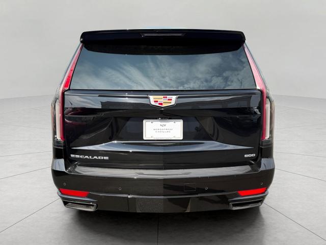 2023 Cadillac Escalade Vehicle Photo in MADISON, WI 53713-3220