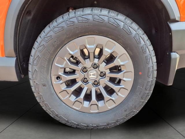 2026 Honda Passport Vehicle Photo in Oshkosh, WI 54904