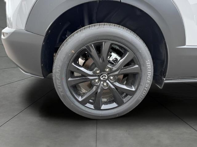 2025 Mazda CX-30 Vehicle Photo in Green Bay, WI 54304