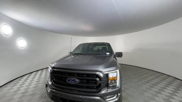 2022 Ford F-150 Vehicle Photo in GILBERT, AZ 85297-0402