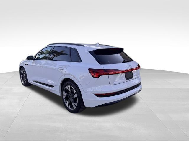 2021 Audi ETRON Vehicle Photo in DELRAY BEACH, FL 33483-3294