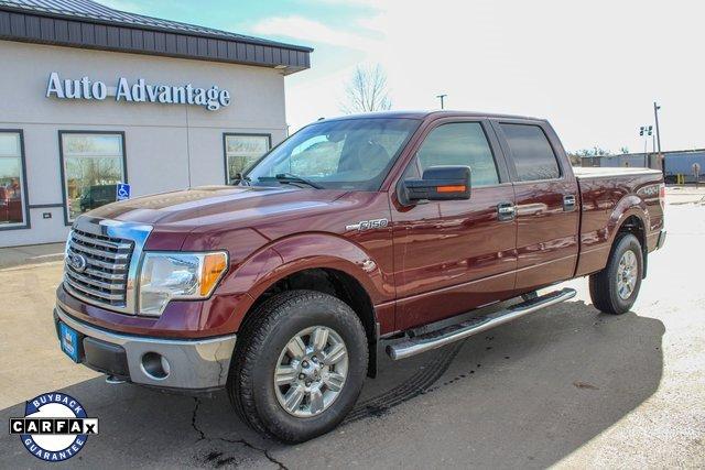 2010 Ford F150 Vehicle Photo in MILES CITY, MT 59301-5791