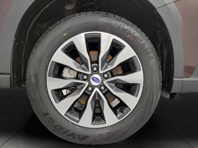 2024 Subaru Outback Vehicle Photo in Green Bay, WI 54304