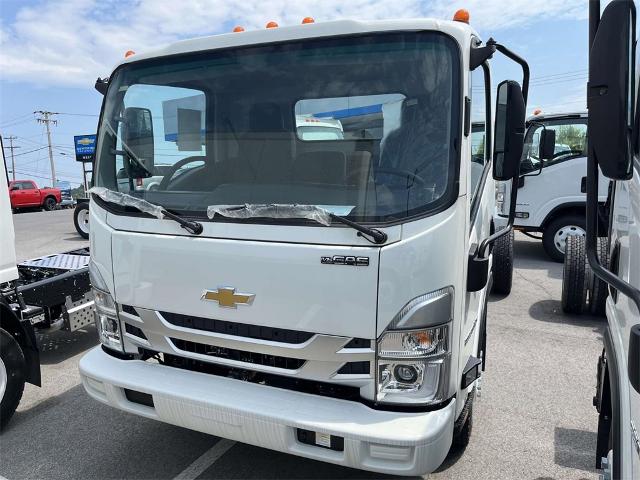 2024 Chevrolet Low Cab Forward 5500 HG Vehicle Photo in ALCOA, TN 37701-3235