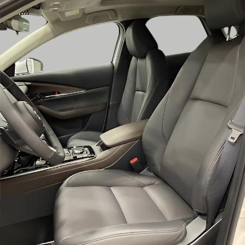 2025 Mazda CX-30 Vehicle Photo in Green Bay, WI 54304