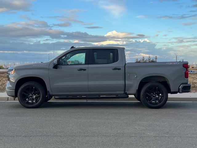 2024 Chevrolet Silverado 1500 Vehicle Photo in PITTSBURG, CA 94565-7121