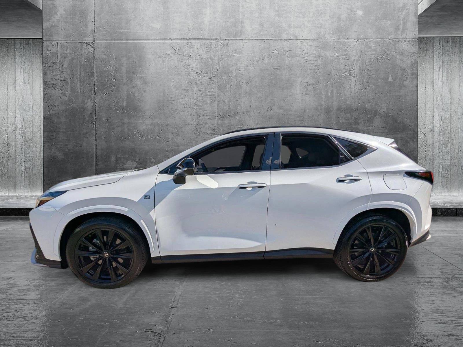 2024 Lexus NX 350 Vehicle Photo in Tampa, FL 33614