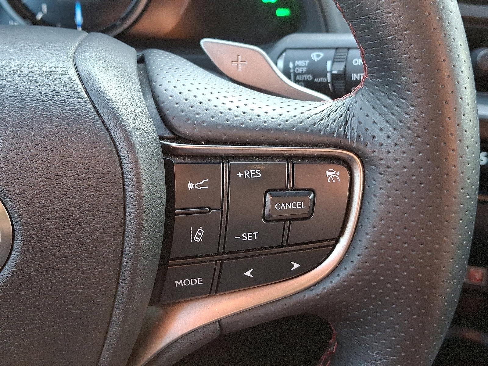 2024 Lexus UX 250h Vehicle Photo in Harrisburg, PA 17111