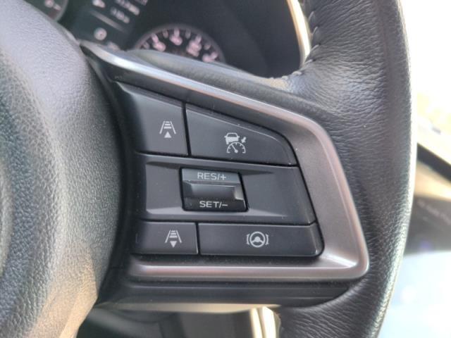 2023 Subaru Outback Vehicle Photo in Green Bay, WI 54304