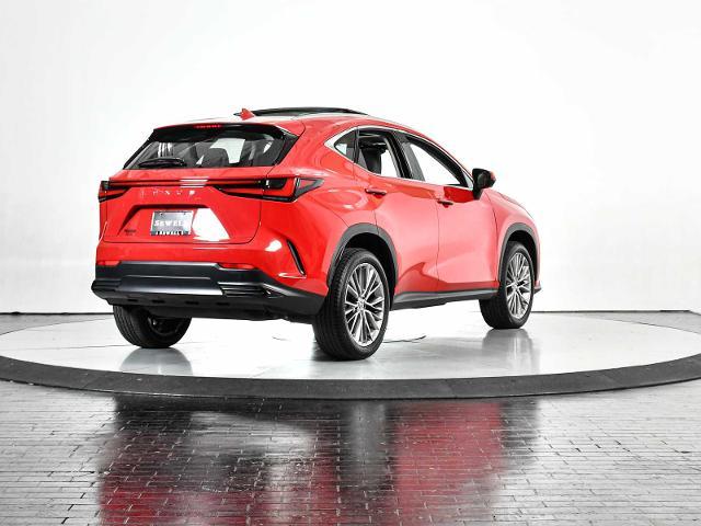 2023 Lexus NX 350 Vehicle Photo in DALLAS, TX 75235