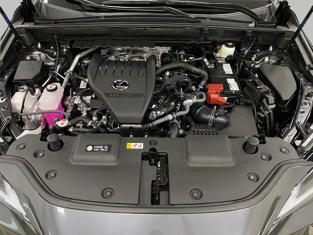 2025 Lexus NX 350 Vehicle Photo in Appleton, WI 54913