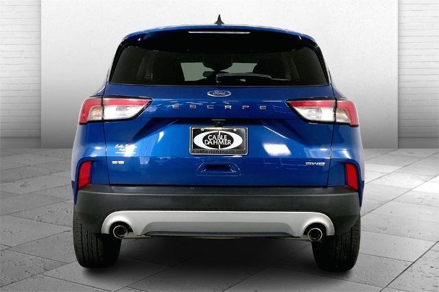 2022 Ford Escape Vehicle Photo in Lees Summit, MO 64086