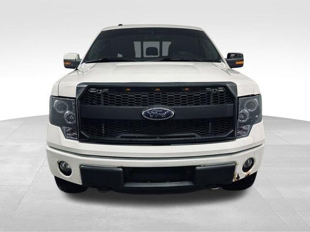 2012 Ford F-150 Vehicle Photo in MEDINA, OH 44256-9631