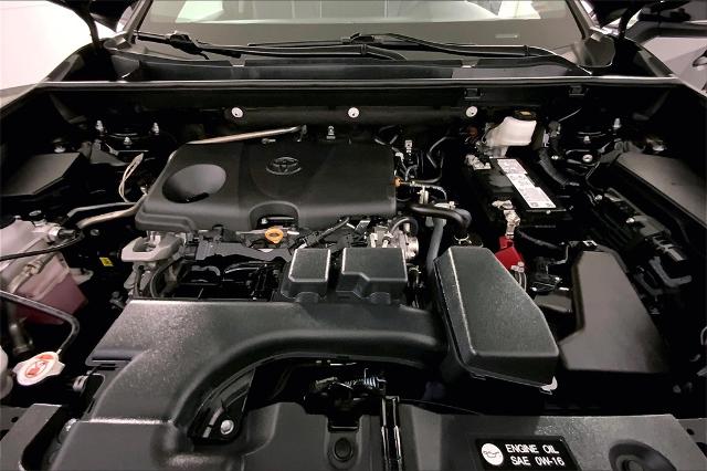 2023 Toyota RAV4 Vehicle Photo in Lees Summit, MO 64086
